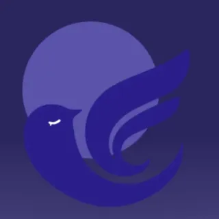 Night_Bird